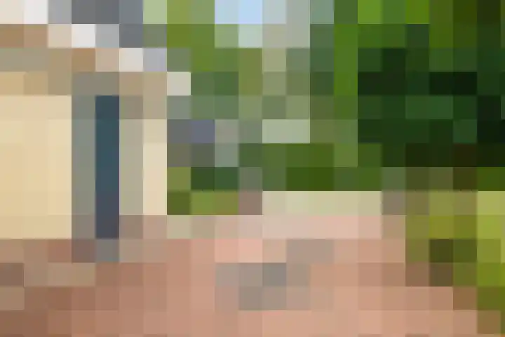 Teije Blauwsingel 7 Opeinde thumbnail 12