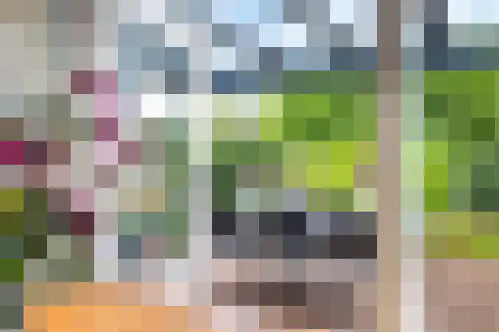 Teije Blauwsingel 7 Opeinde thumbnail 25