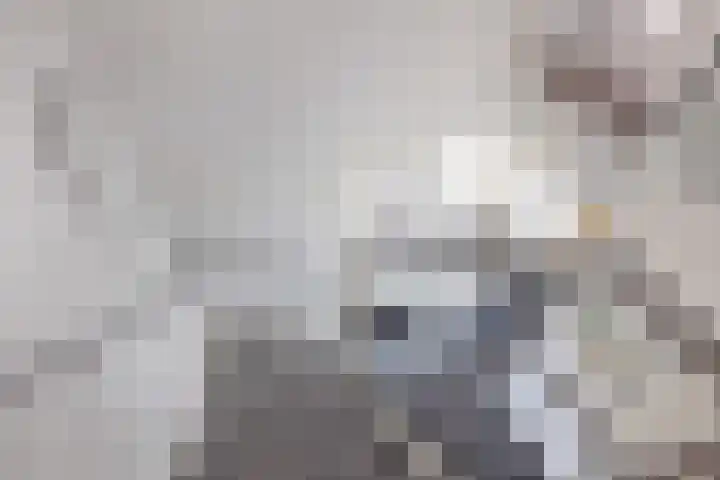 Teije Blauwsingel 7 Opeinde thumbnail 26
