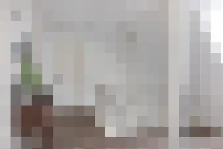 Teije Blauwsingel 7 Opeinde thumbnail 28