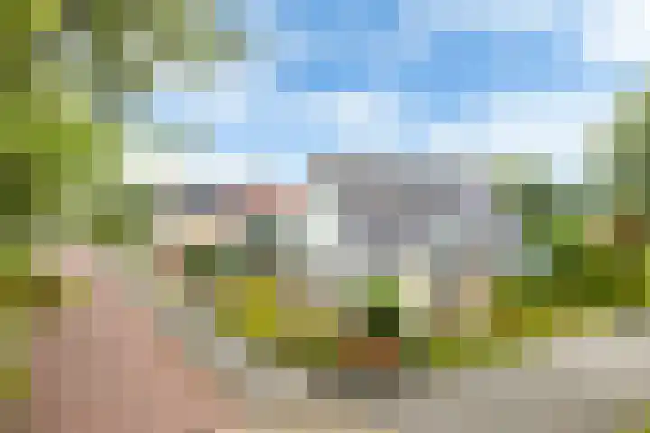 Teije Blauwsingel 7 Opeinde thumbnail 4