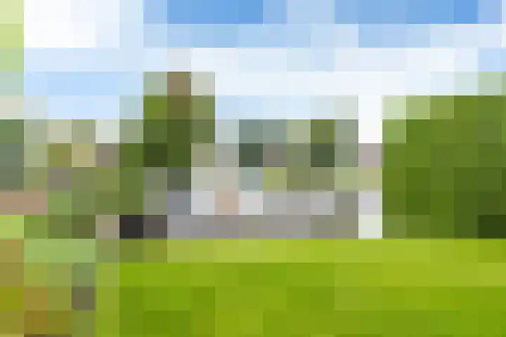 Teije Blauwsingel 7 Opeinde thumbnail 48