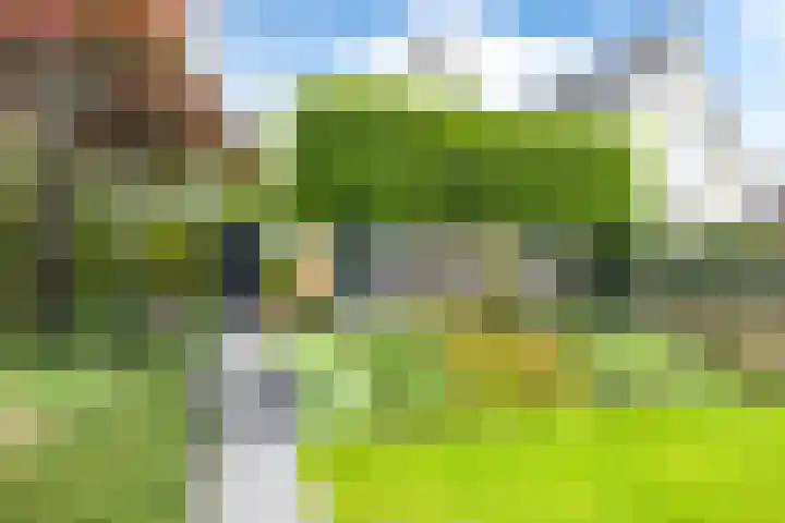 Teije Blauwsingel 7 Opeinde thumbnail 49