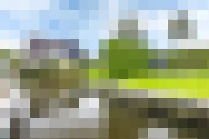 Teije Blauwsingel 7 Opeinde thumbnail 50
