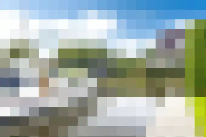 Teije Blauwsingel 7 Opeinde thumbnail 52