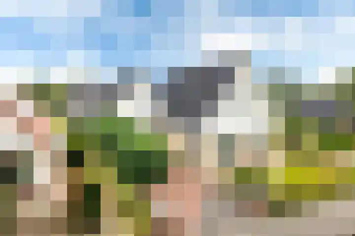 Teije Blauwsingel 7 Opeinde thumbnail 59