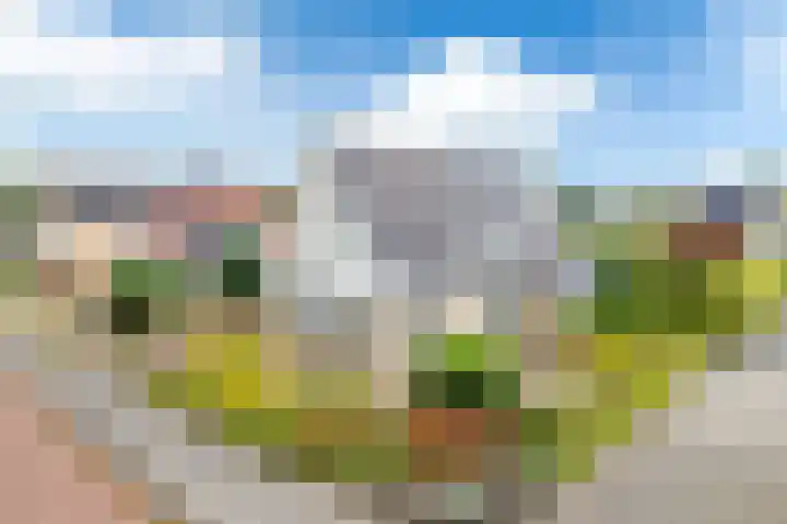 Teije Blauwsingel 7 Opeinde thumbnail 61