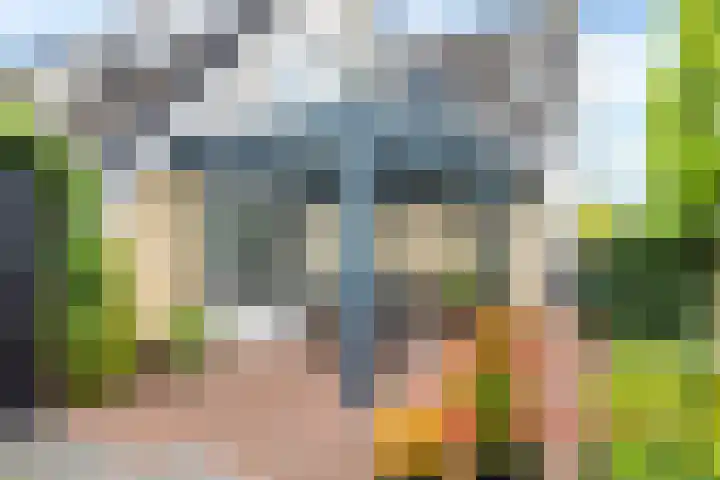 Teije Blauwsingel 7 Opeinde thumbnail 7