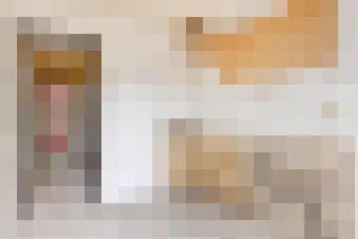 Teldersweg 38 Rotterdam thumbnail 11