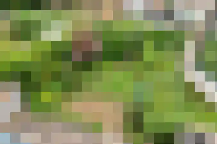 Teldersweg 38 Rotterdam thumbnail 21