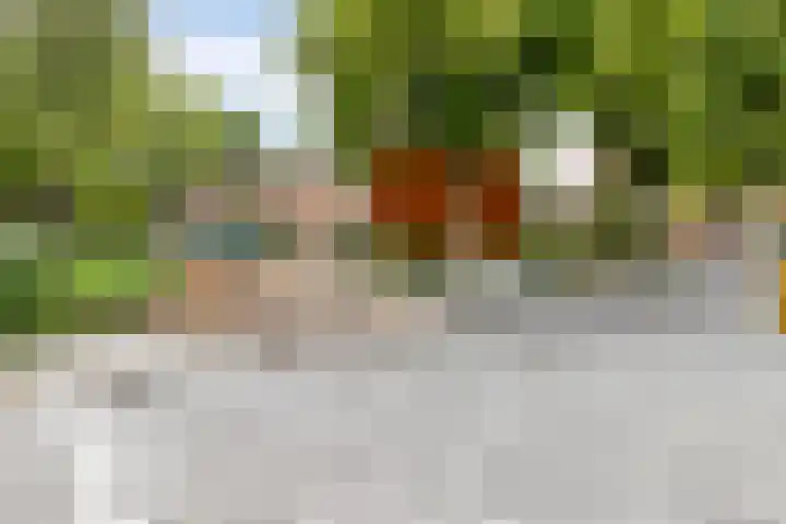 Teldersweg 38 Rotterdam thumbnail 27