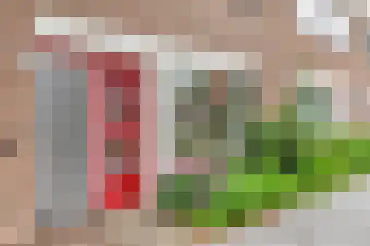 Teldersweg 38 Rotterdam thumbnail 31