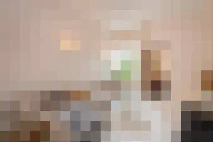 Telefoonstraat 9 Tilburg thumbnail 12