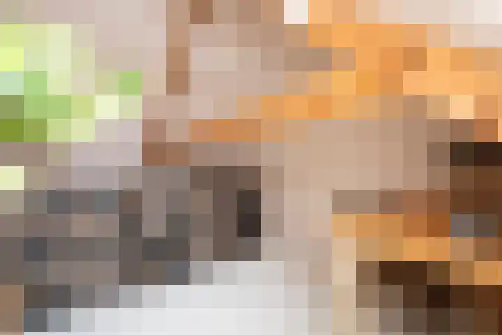 Telefoonstraat 9 Tilburg thumbnail 28
