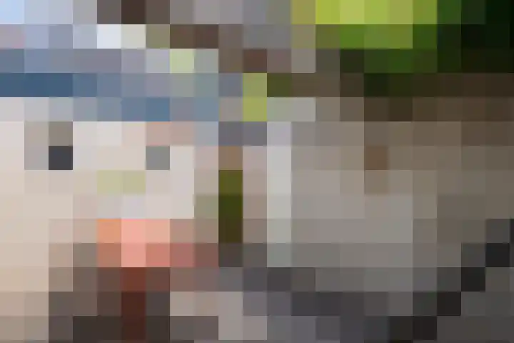 Telefoonstraat 9 Tilburg thumbnail 30