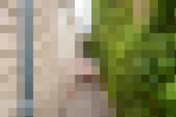 Telefoonstraat 9 Tilburg thumbnail 32