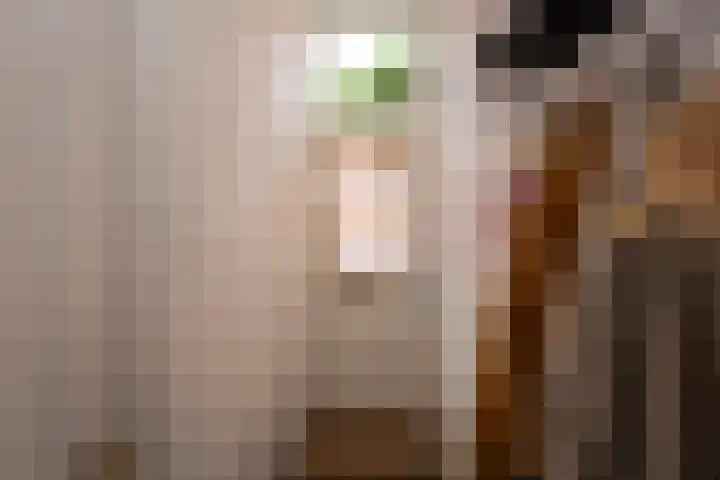 Telefoonstraat 9 Tilburg thumbnail 6