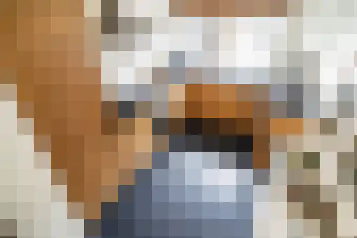 Telemannstraat 9 Rhoon thumbnail 10