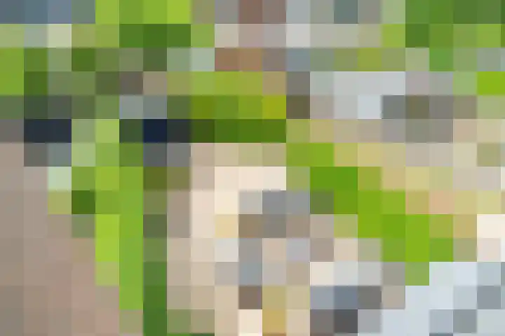 Telemannstraat 9 Rhoon thumbnail 41