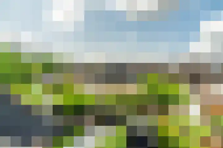 Telemannstraat 9 Rhoon thumbnail 46