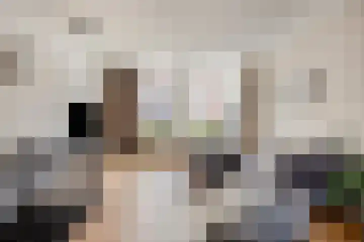 Telexstraat 17 Tilburg thumbnail 18