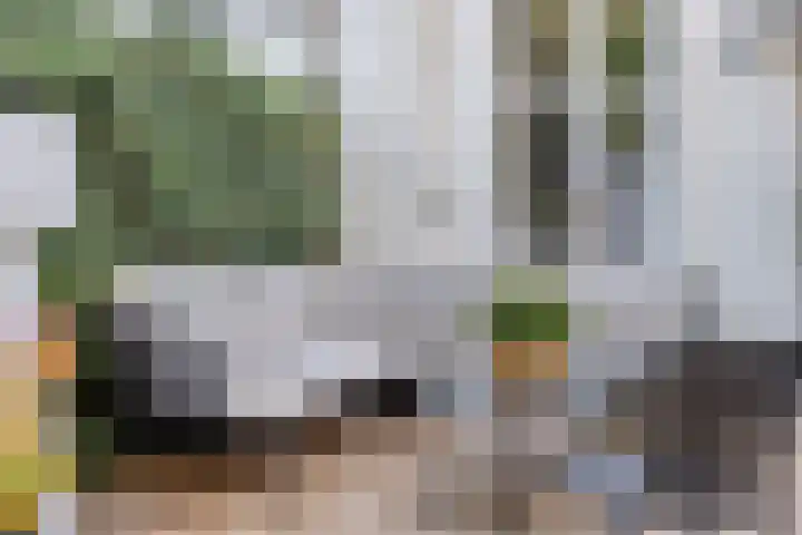 Telexstraat 17 Tilburg thumbnail 37