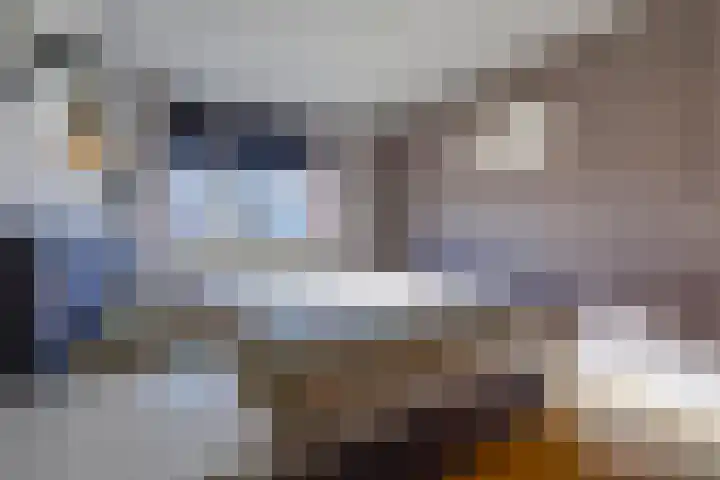 Telexstraat 17 Tilburg thumbnail 40