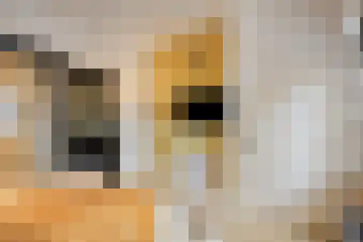 Telexstraat 17 Tilburg thumbnail 7