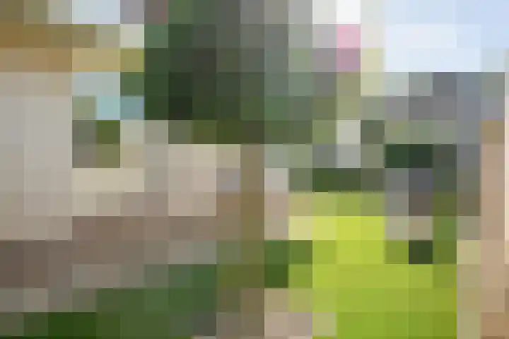 Telgenkamp 14 Almelo thumbnail 25