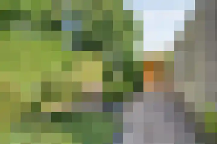 Telgenkamp 14 Almelo thumbnail 28