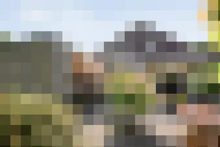 Telgenkamp 14 Almelo thumbnail 29