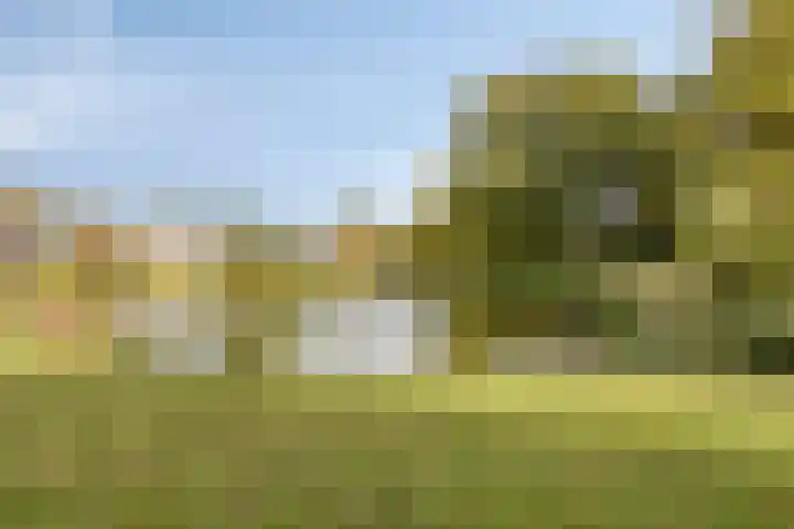 Telgenkamp 28 Oldenzaal thumbnail 31