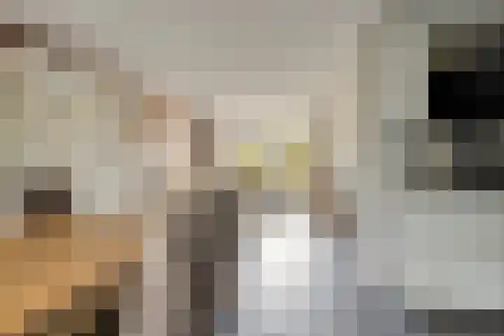 Telgenkamp 28 Oldenzaal thumbnail 7