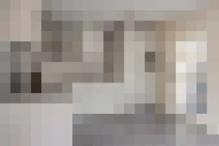 Telgenkamp 28 Oldenzaal thumbnail 8