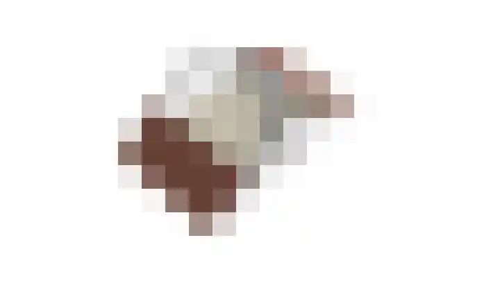 Telgenweg 6 a Heeten thumbnail 10