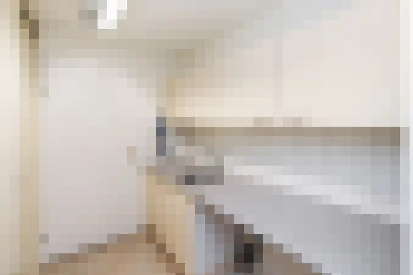 Telgenweg 6 a Heeten thumbnail 10