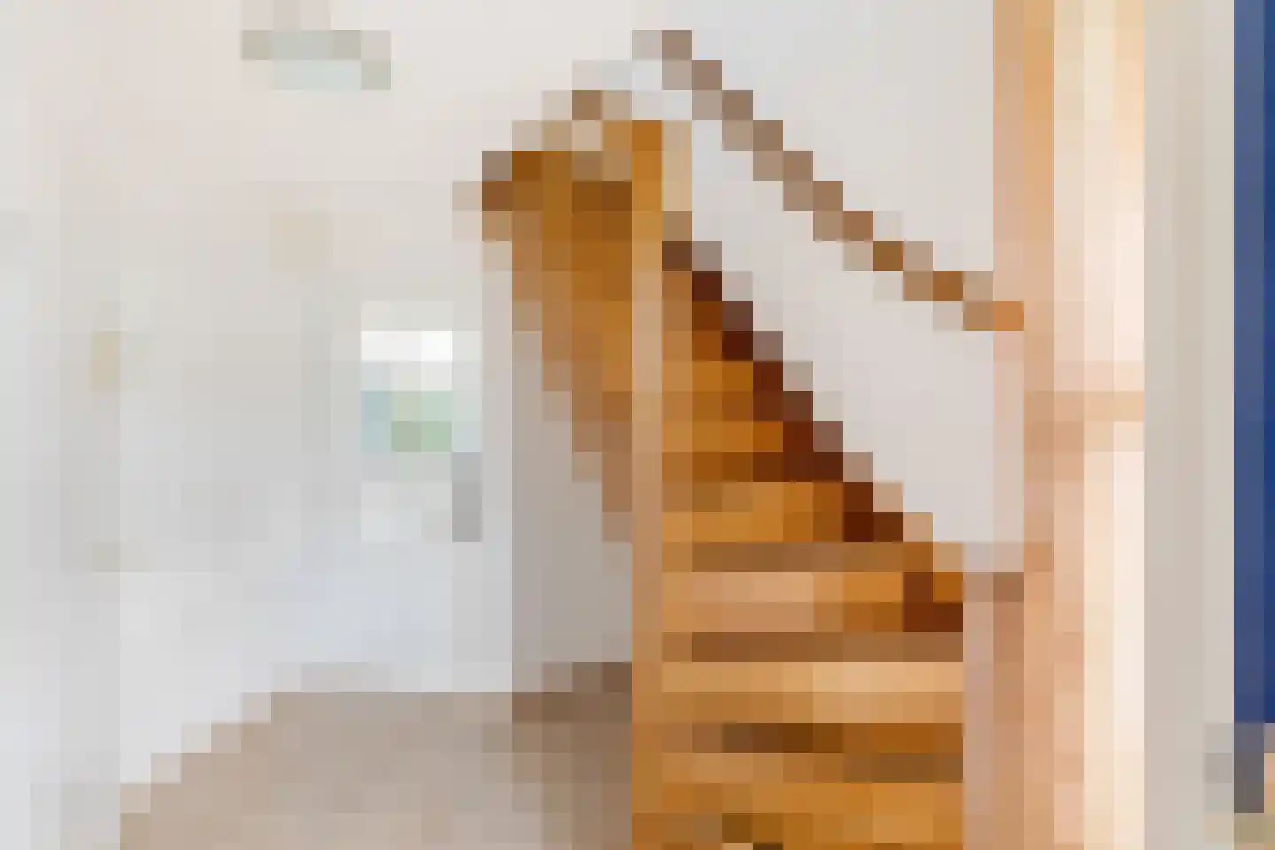Telgenweg 6 a Heeten thumbnail 13