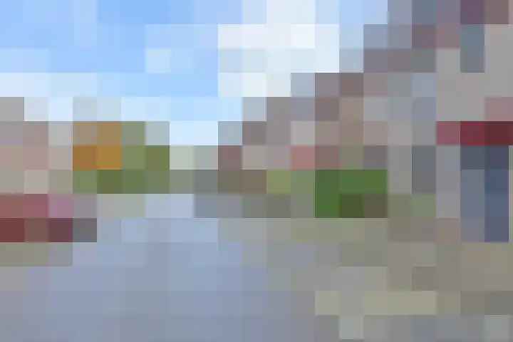 Telgenweg 6 a Heeten thumbnail 16