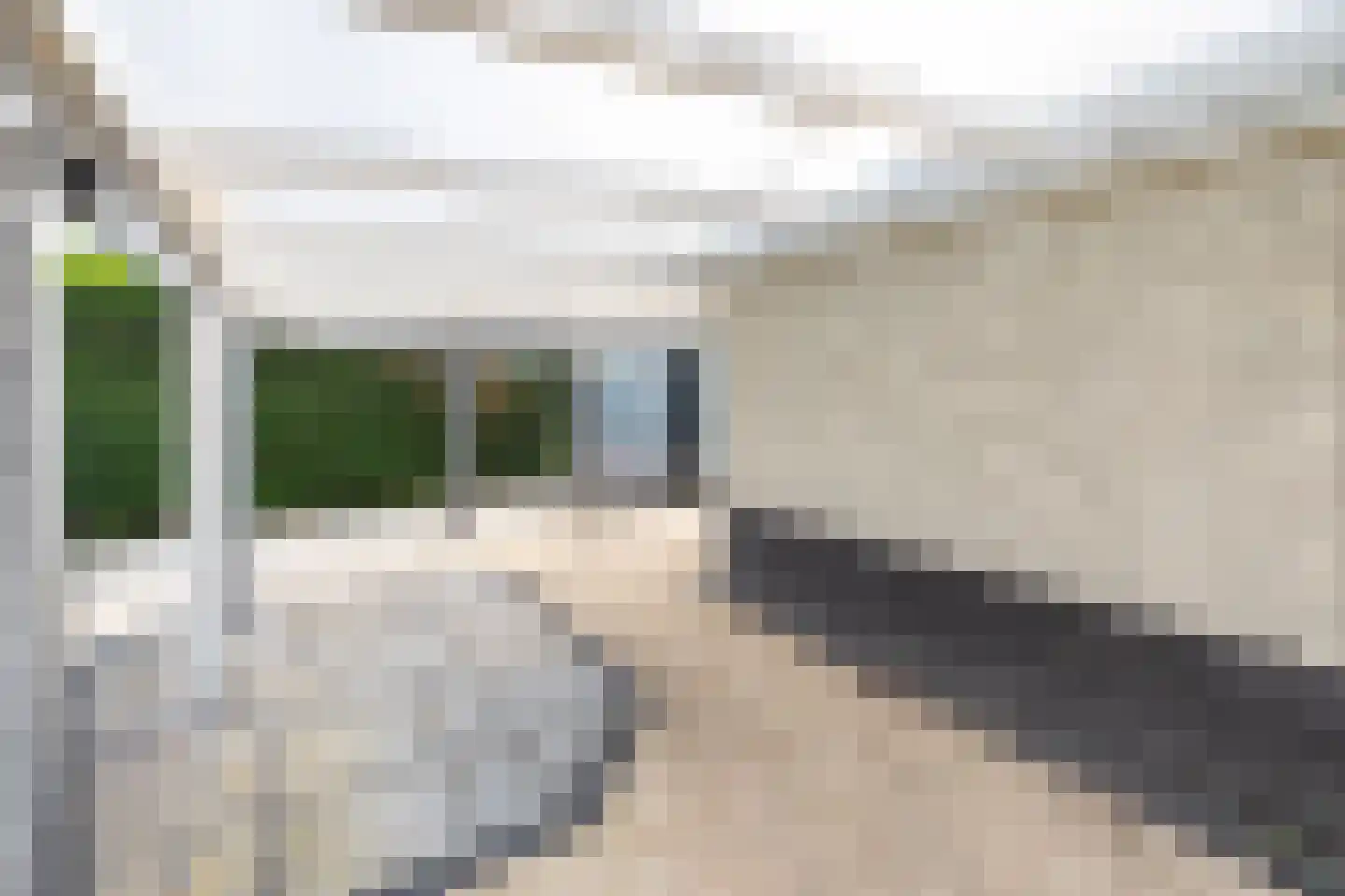 Telgenweg 6 a Heeten thumbnail 29