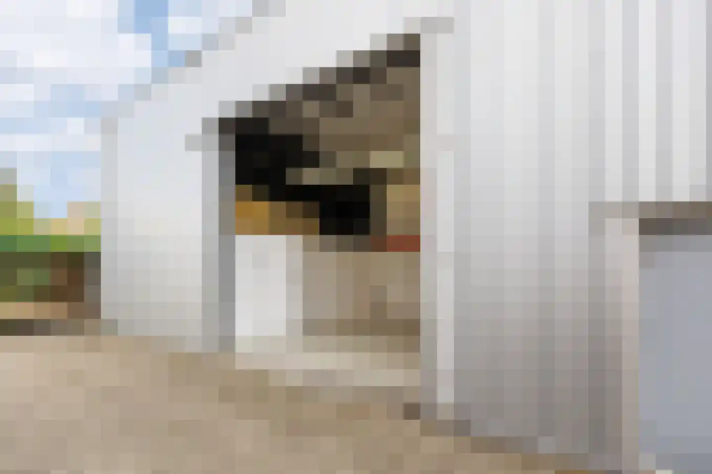 Telgenweg 6 a Heeten thumbnail 31