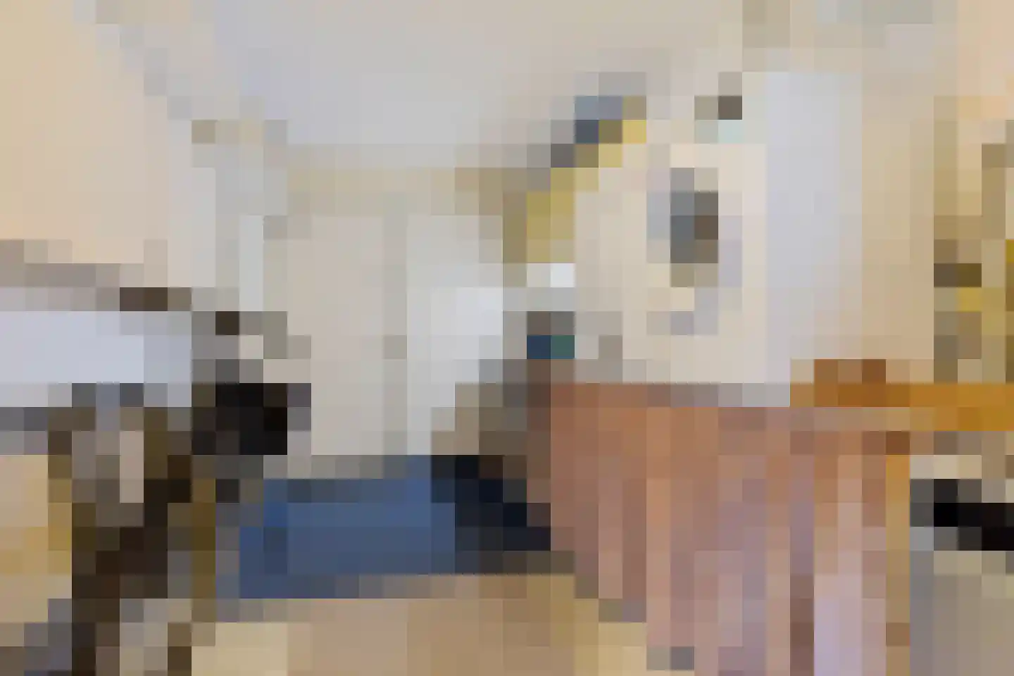 Telgenweg 6 a Heeten thumbnail 32