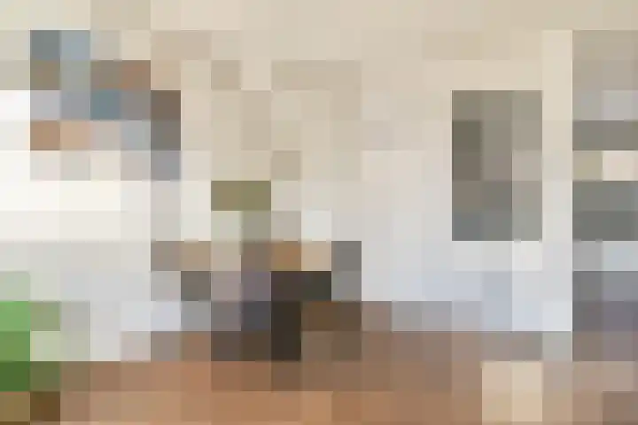 Telgenweg 6 a Heeten thumbnail 6
