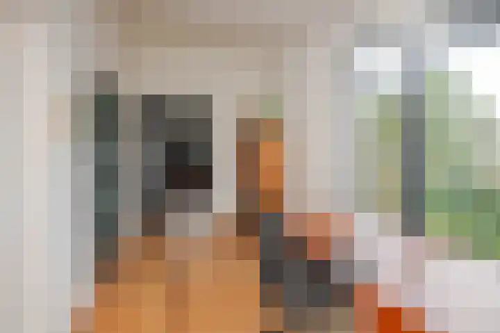 Telgenweg 6 a Heeten thumbnail 9