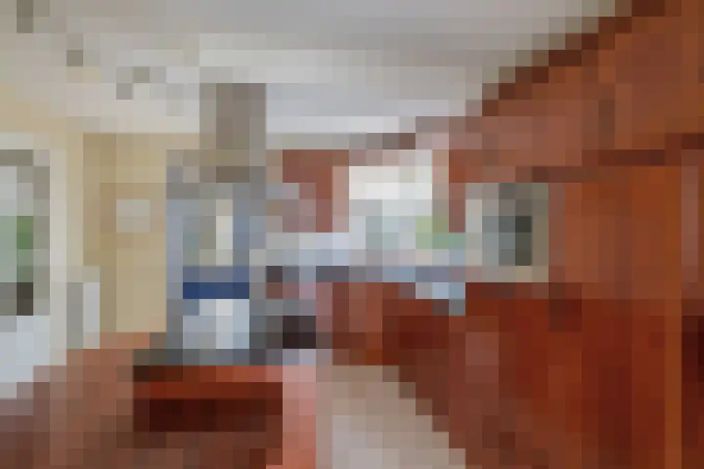 Telgenweg 6 a Heeten thumbnail 9
