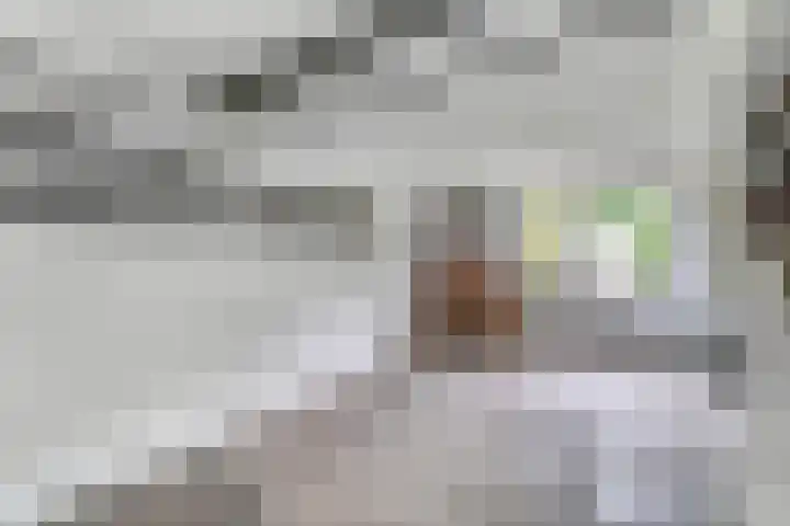 Tellerswerft 34 Nijkerk thumbnail 15