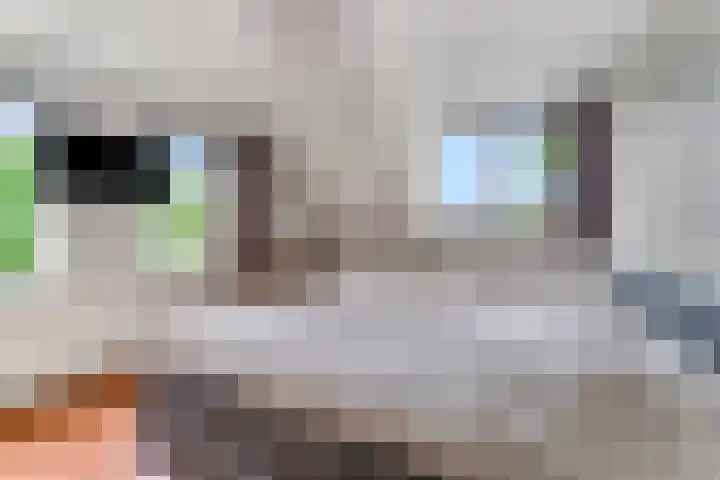 Tellerswerft 34 Nijkerk thumbnail 17