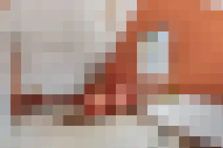 Tellerswerft 34 Nijkerk thumbnail 26