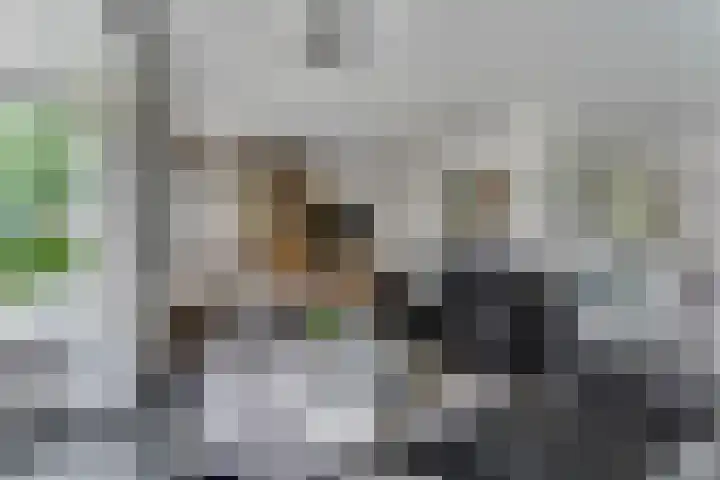 Tellerswerft 34 Nijkerk foto 3