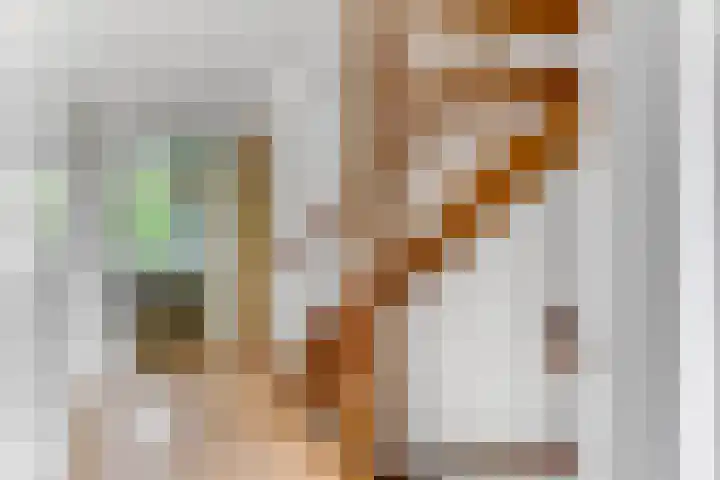 Tellerswerft 34 Nijkerk thumbnail 33