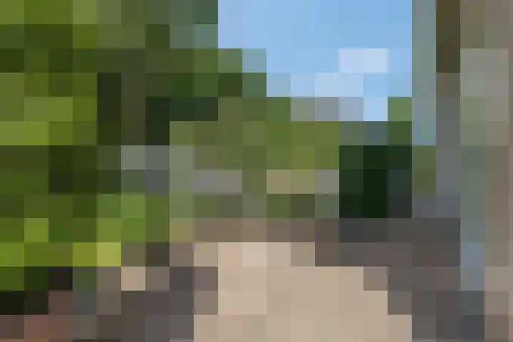 Tellerswerft 34 Nijkerk thumbnail 39